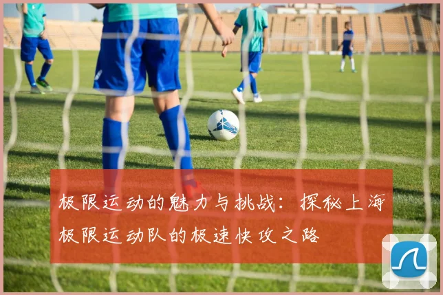 极限运动的魅力与挑战:探秘上海极限运动队的极速快攻之路