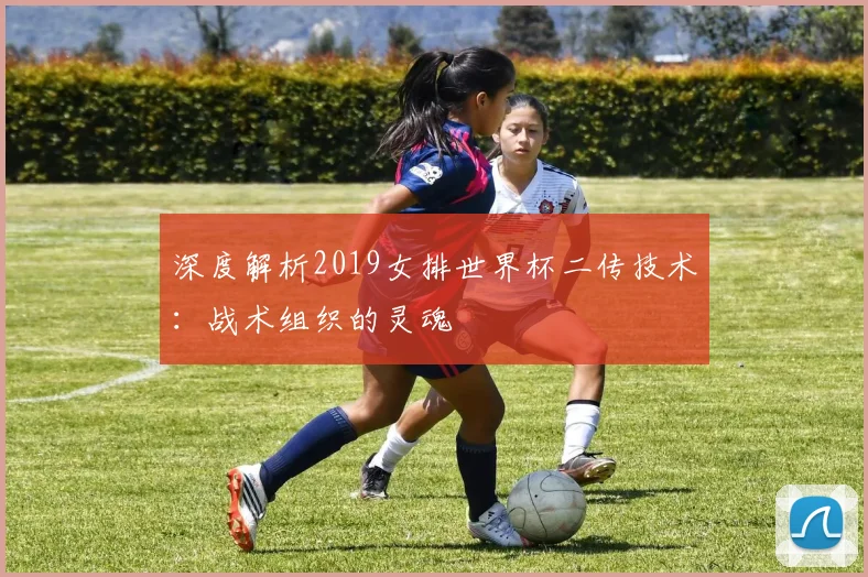 深度解析2019女排世界杯二传技术:战术组织的灵魂