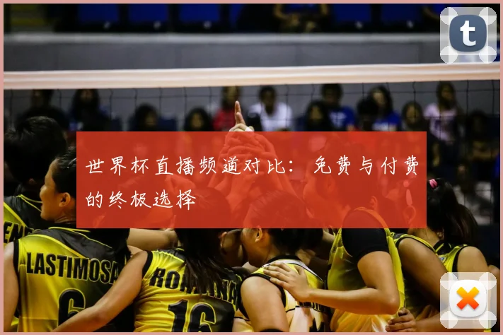 世界杯直播频道对比：免费与付费的终极选择