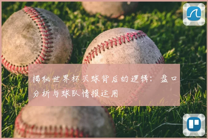 揭秘世界杯买球背后的逻辑:盘口分析与球队情报运用