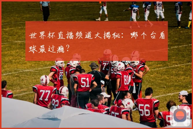 世界杯直播频道大揭秘：哪个台看球最过瘾？