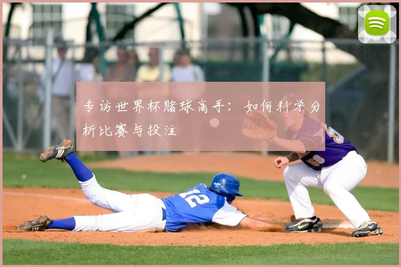 专访世界杯赌球高手:如何科学分析比赛与投注