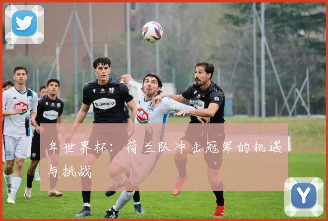 年世界杯:荷兰队冲击冠军的机遇与挑战