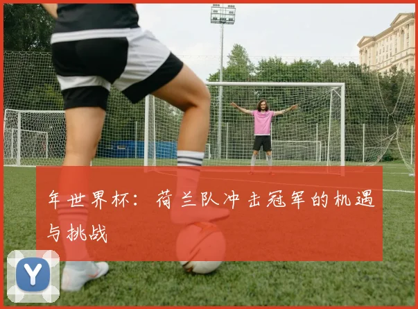 年世界杯：荷兰队冲击冠军的机遇与挑战