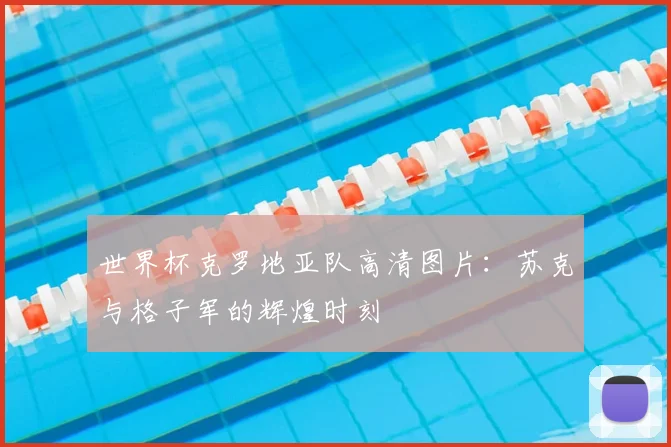 世界杯克罗地亚队高清图片:苏克与格子军的辉煌时刻