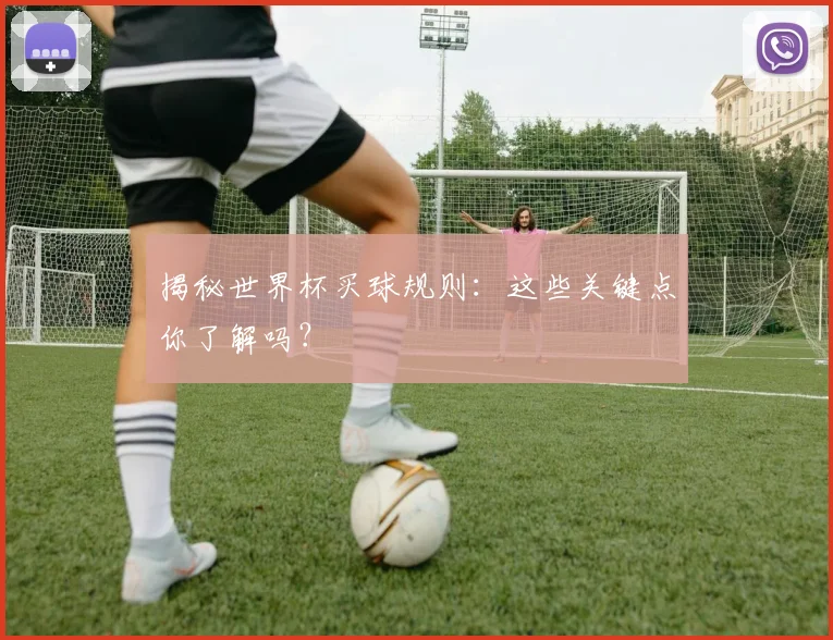 揭秘世界杯买球规则：这些关键点你了解吗？