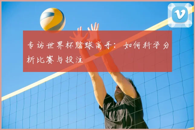 专访世界杯赌球高手:如何科学分析比赛与投注