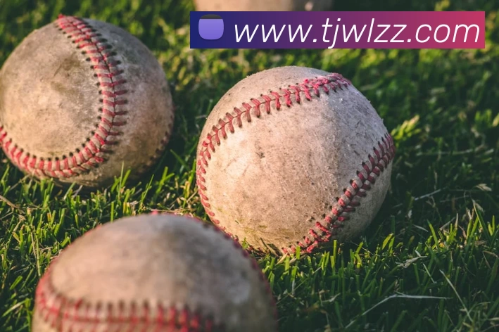 华体会体育发展历程